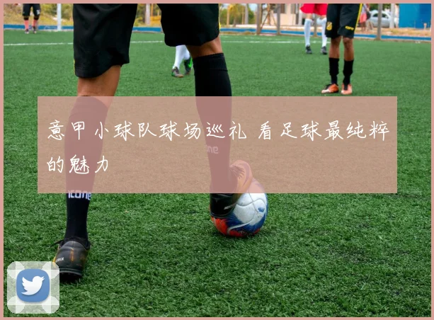 意甲小球队球场巡礼 看足球最纯粹的魅力