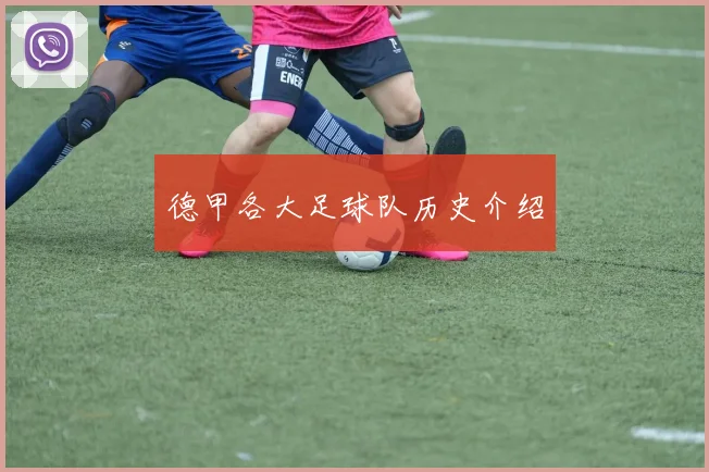 德甲各大足球队历史介绍