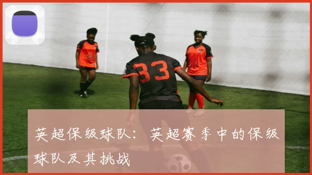 英超保级球队：英超赛季中的保级球队及其挑战