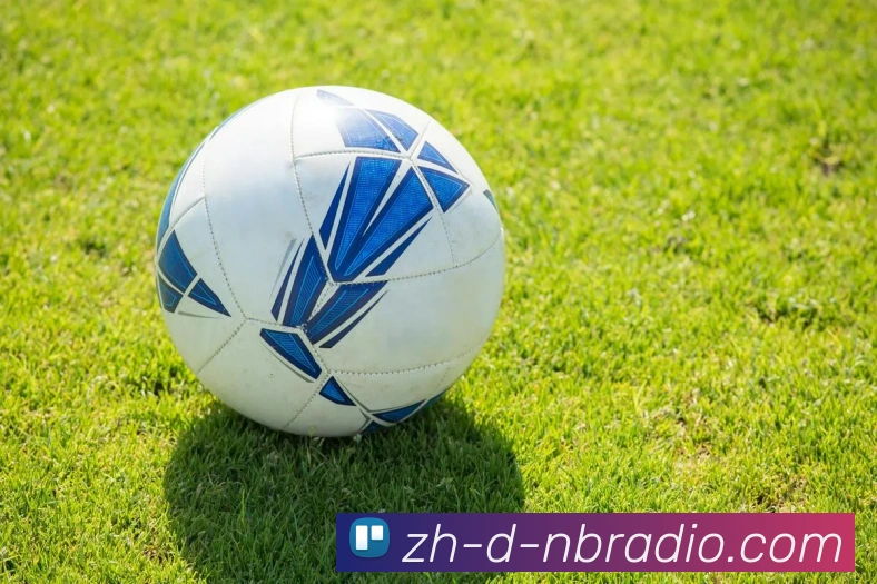 纬来体育品牌故事