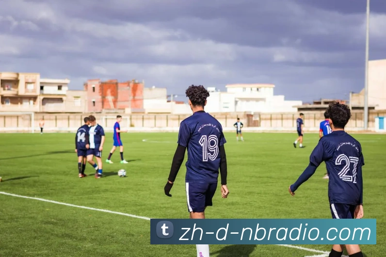 纬来体育服务体系