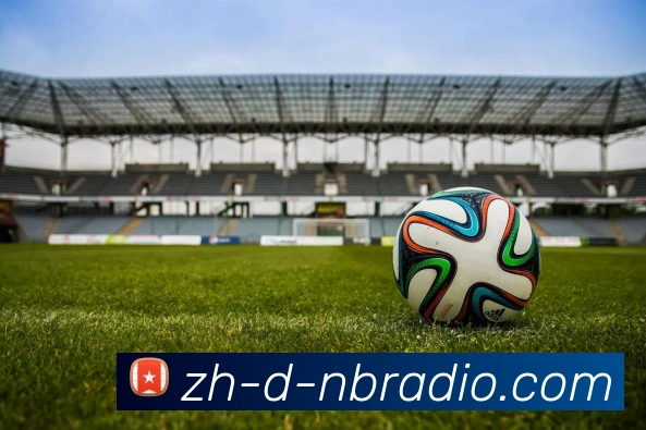 纬来体育APP 体育赛事宣传图